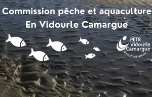 Une commission pêche en étangs, canaux et aquaculture en Vidourle Camargue pour développer ces filières localement