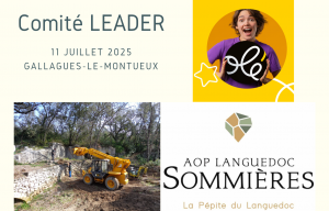 COMITÉ DE PROGRAMMATION LEADER - Juillet 2025