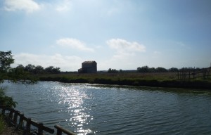 Point d’étape de la commission pêche en étangs et aquaculture du PETR Vidourle Camargue