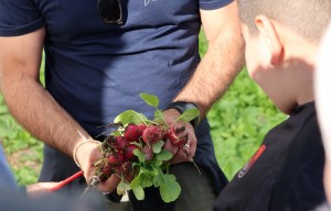 La Semaine de l'alimentation durable se mijote en Vidourle Camargue